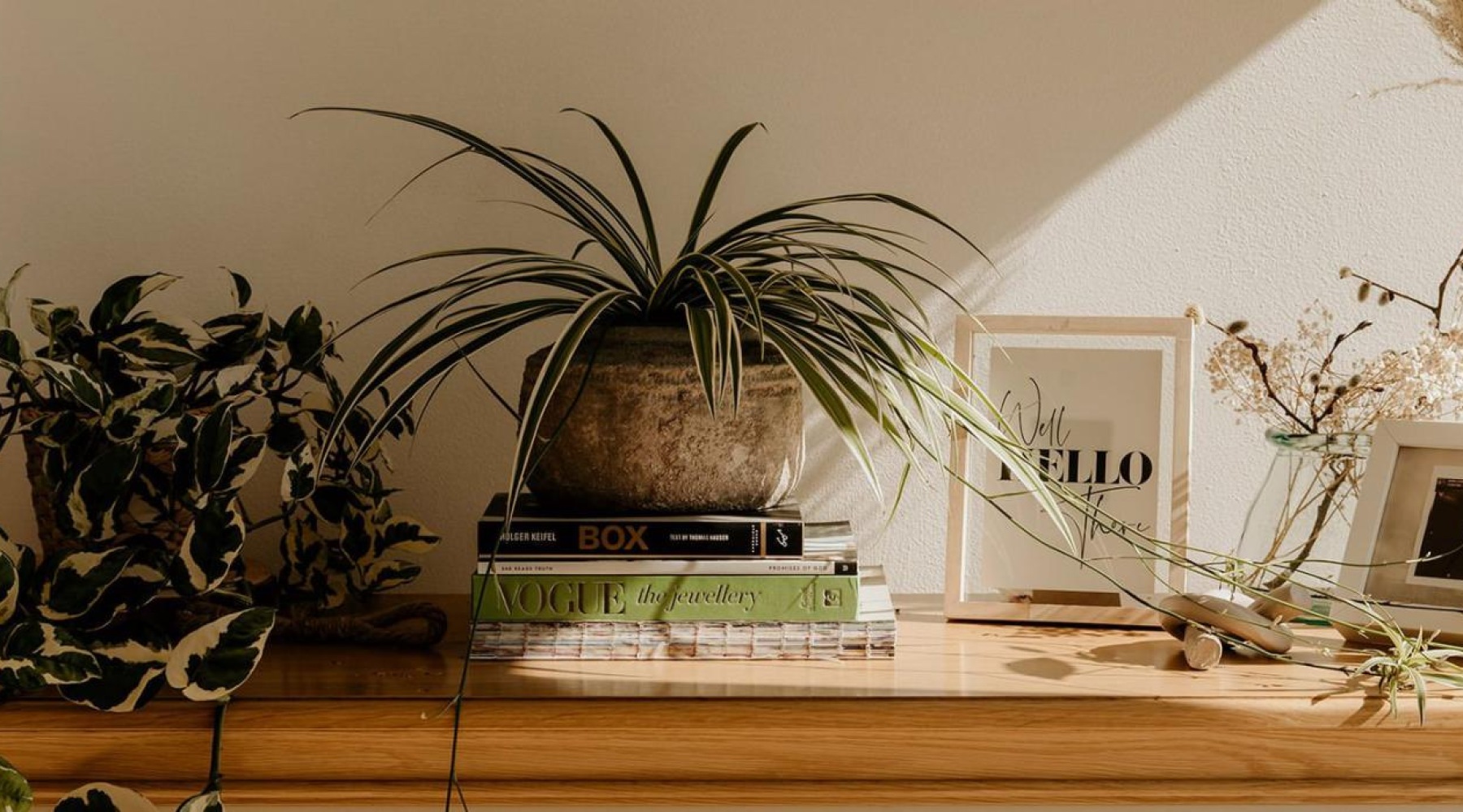 bureau top decorated with potted plants, books and framed pictures